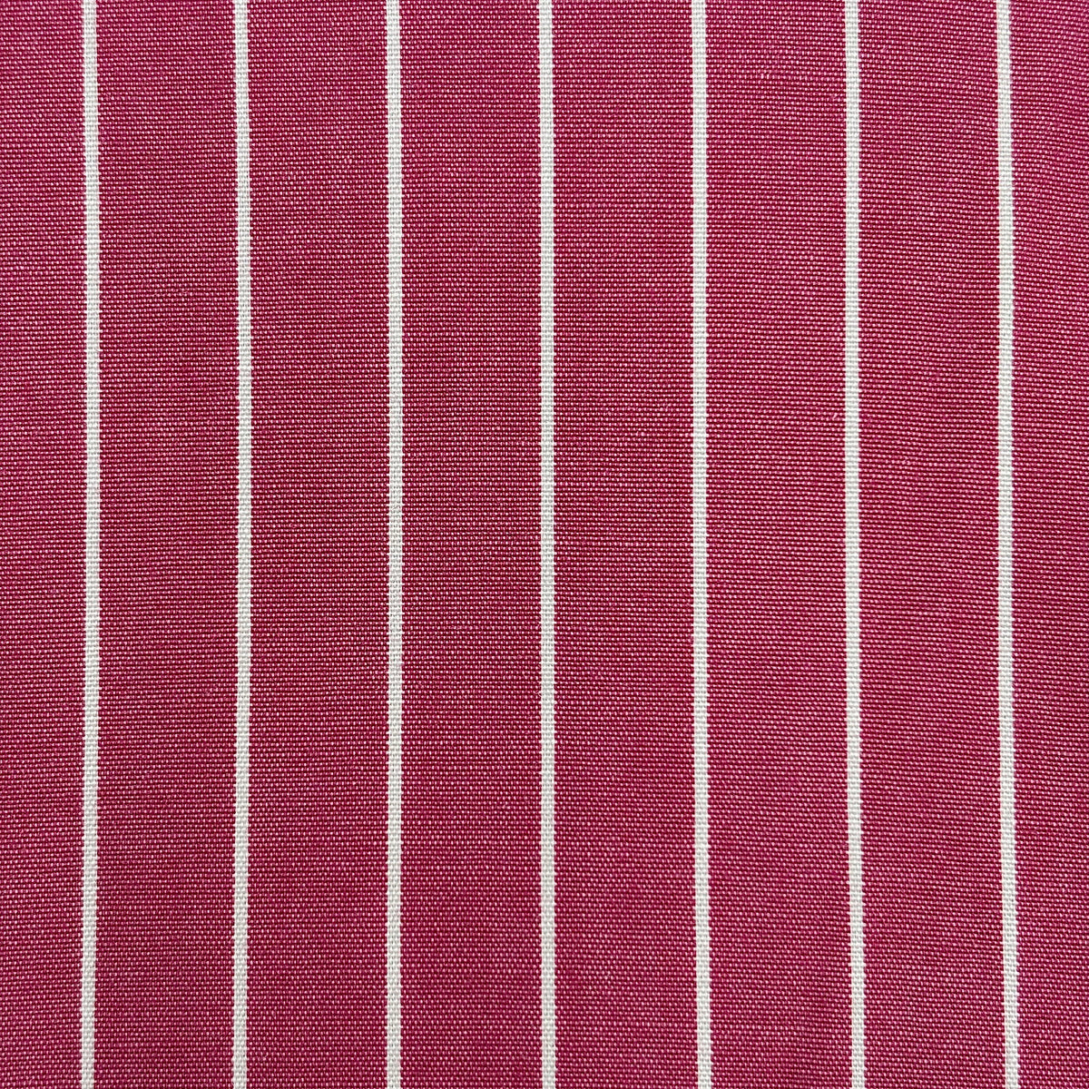 Dolly Striped Pink Polo