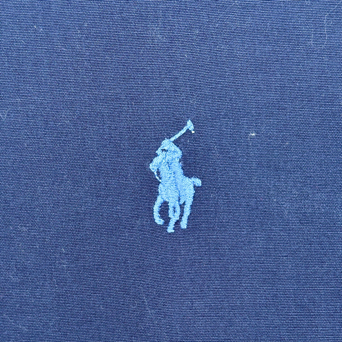 Midnight Study Polo